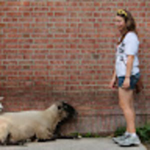 Meet your Posher, Sarahlynn